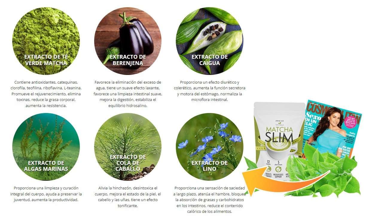 Taza de te matcha en polvo verde junto a un batidor de bambu