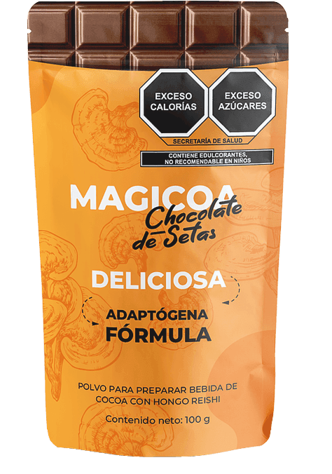 Magicoa bebida de cacao con hongos medicinales
