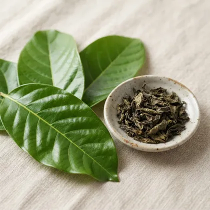 Banaba, componente declarado de D-Norm